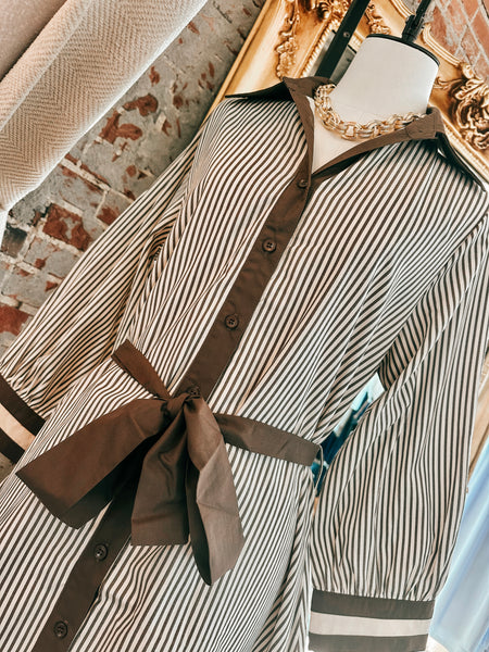Sadie Striped Mini Dress