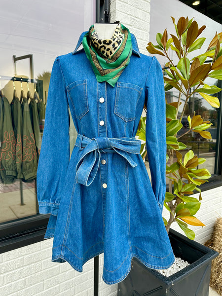 Denim Days Dress